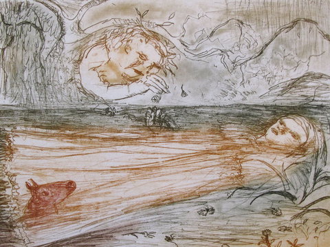 Falls Gallery - Australian Destinations 0