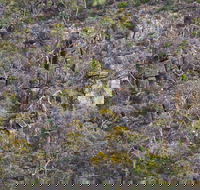 Horsnell Gully and Giles Conservation Parks - Australian Destinations