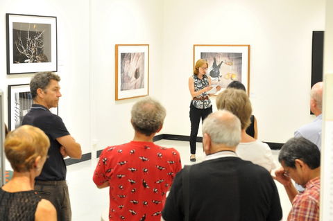 Pine Rivers Art Gallery - Australian Destinations 1