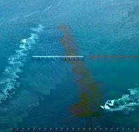 Port Noarlunga Reef Sanctuary Zone - Encounter Marine Park - Australian Destinations