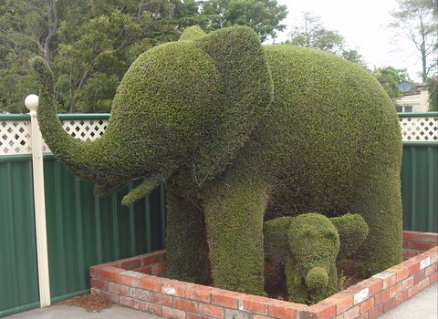 Railton: Town Of Topiary - Australian Destinations 0
