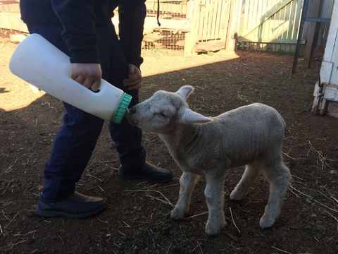 Taralga Wildlife Park - Australian Destinations 0