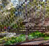 Armadale - Australian Destinations