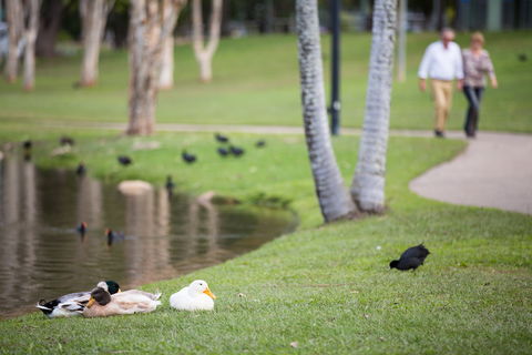 Centenary Lakes Park - Australian Destinations 2