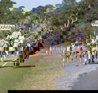 Dayboro