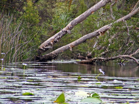 Esk River - Australian Destinations 1