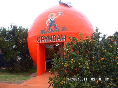 Gayndah's Big Orange - Australian Destinations 2