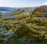 Gold Coast Hinterland Great Walk - Australian Destinations