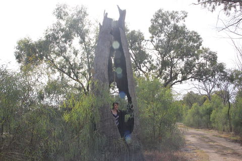 Martin Bend Wetland And Walking Trail - Australian Destinations 1