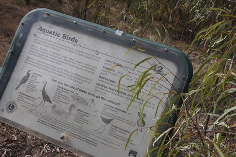 Martin Bend Wetland And Walking Trail - Australian Destinations 2