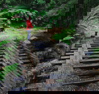 Montezuma Falls - Australian Destinations