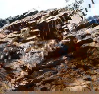 Rock Climbing in Morialta - Australian Destinations