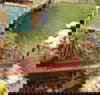 Burnie Farmers Market - Australian Destinations