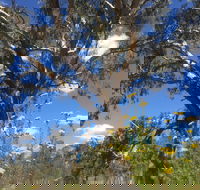Euroa Arboretum - Australian Destinations