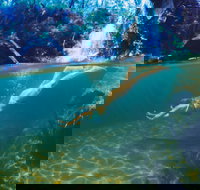 Glenreagh - Australian Destinations