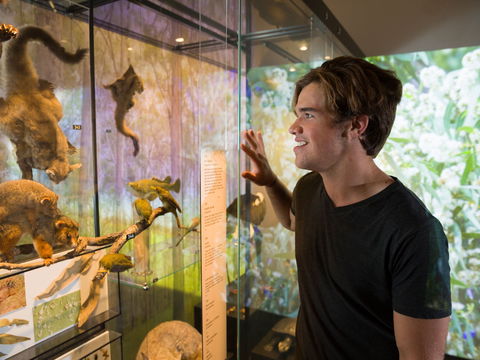 Queensland Museum - Australian Destinations 0