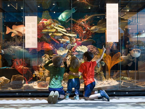 Queensland Museum - Australian Destinations 1