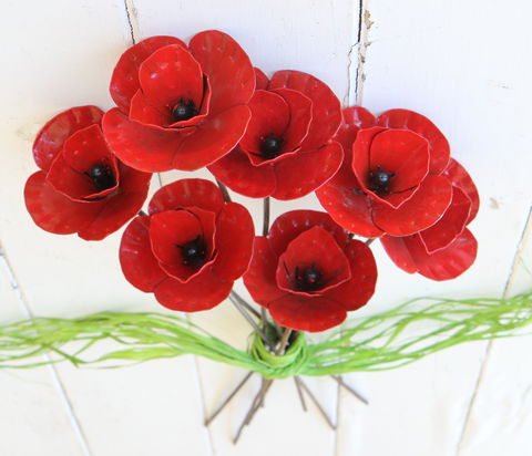 Zambezi Crafts - Australian Destinations 2