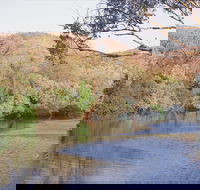 Alligator / Crocodile Hole