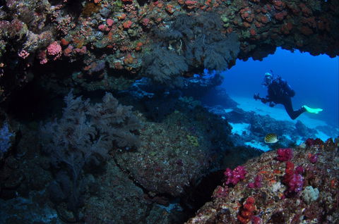 Hutchinson Shoal Dive Site - Australian Destinations 0