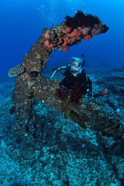 Hutchinson Shoal Dive Site - Australian Destinations 1
