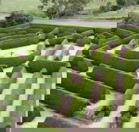 Mintaro Maze - Australian Destinations