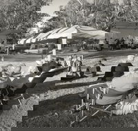 Pioneer Park - Australian Destinations