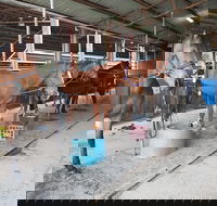 The Equine Club - Australian Destinations