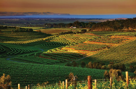 Mclaren Vale - Australian Destinations 1