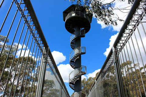Illawarra Fly Treetop Adventures Admission Including Zipline Tour - Australian Destinations 3