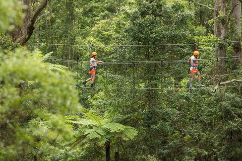 Illawarra Fly Treetop Adventures Admission Including Zipline Tour - Australian Destinations 0