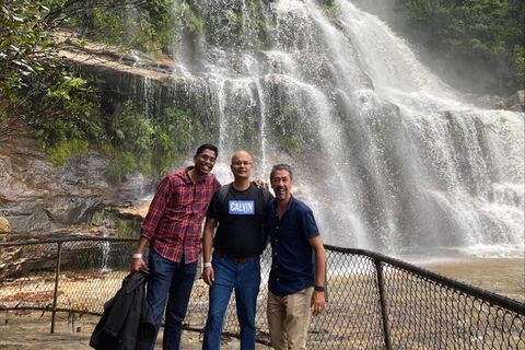 Blue Mountains Highlights & Wildlife Park - Australian Destinations 4