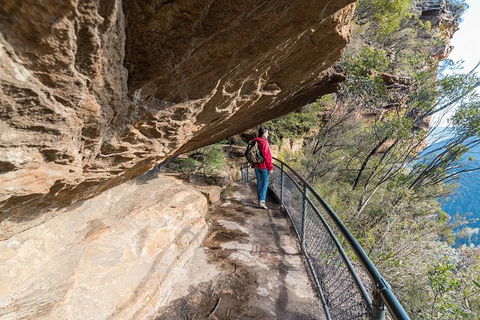 Blue Mountains Highlights & Wildlife Park - Australian Destinations 0