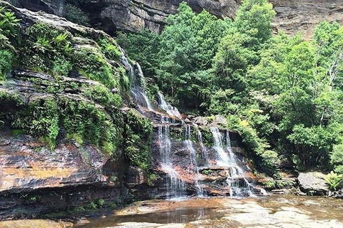 Blue Mountains Highlights & Wildlife Park - Australian Destinations 8