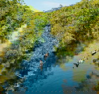 Cruise 'n' Canoe to Australia's Everglades - Australian Destinations