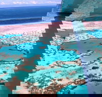 8-Day Cairns Tour Great Barrier Reef Kuranda Daintree Rainforest - Australian Destinations