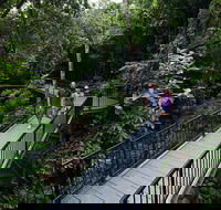 4-Day Cairns with Great Barrier Reef and Daintree Rainforest - Australian Destinations