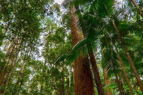 3-Day Fraser Island Hiking And 4WD Adventure From Hervey Bay - Australian Destinations 1