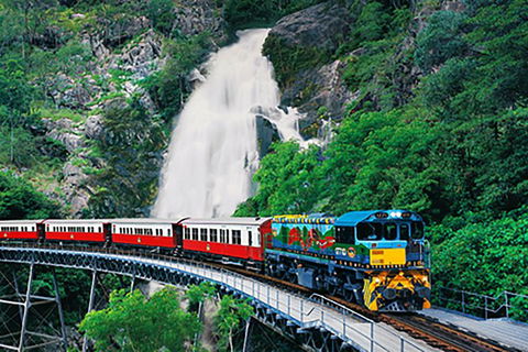 Day Tour To Kuranda, Rainforest And Port Douglas With Flight - Australian Destinations 4
