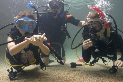 Scuba Kids- Padi Bubblemaker Course - Australian Destinations 4