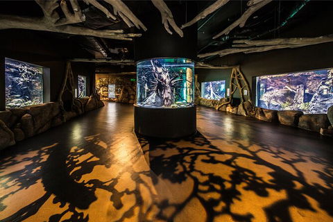 Cairns Aquarium By Twilight With 3 Course Dinner - Australian Destinations 7