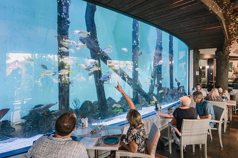 Cairns Aquarium By Twilight With 3 Course Dinner - Australian Destinations 1