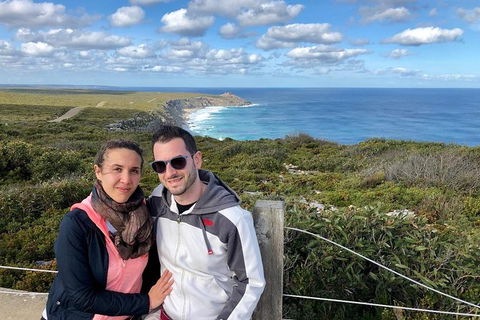 NEW TOUR - Flinders Chase Tour (Recovering From Fires) - Australian Destinations 3