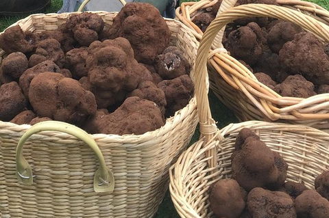 Unearthed Chefs Tour - Australian Destinations 13