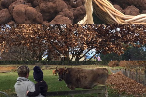 Unearthed Chefs Tour - Australian Destinations 6