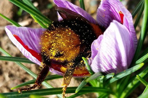 Unearthed Chefs Tour - Australian Destinations 9