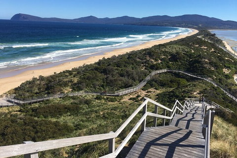 4-Day Fabulous Tasmania Tour: Wineglass Bay, Port Arthur, Devils & Bruny Island - Australian Destinations 3