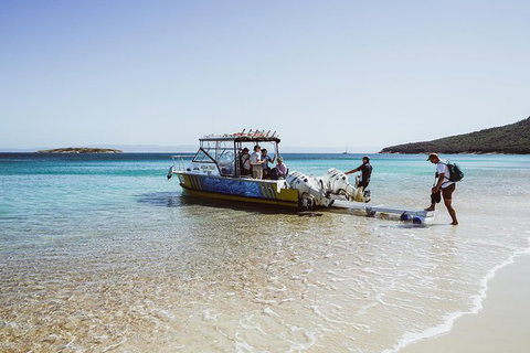 Sea & Explore Wineglass Bay & Freycinet National Park - Cruise & Walk - Australian Destinations 3