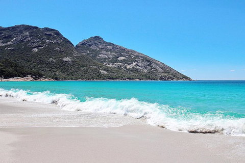 Sea & Explore Wineglass Bay & Freycinet National Park - Cruise & Walk - Australian Destinations 4