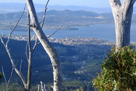 Mt. Wellington Morning Hike + Afternoon Beer & History Walk - Australian Destinations 10